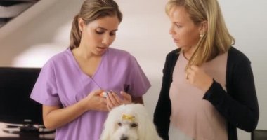 Veteriner köpeği ile tırnak makası kullanmayı öğretme