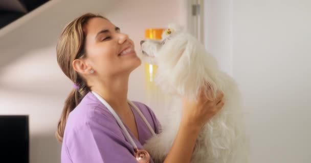 Портрет счастливого ветеринара, улыбающегося перед камерой с собакой — стоковое видео