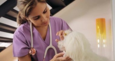 Ev ziyareti ile Genç veteriner köpek evde ziyaret