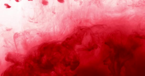 Colore dell'inchiostro rosso in acqua Creazione di forma di arte liquida — Video Stock