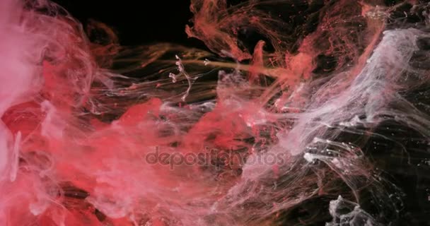 Red And White Ink Paints Colors in Water Creating Shapes — Stock Video