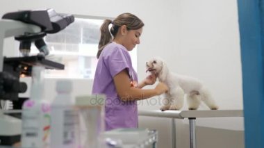 Klinik personeli ile veteriner Pet Shop olarak çalışan kadın