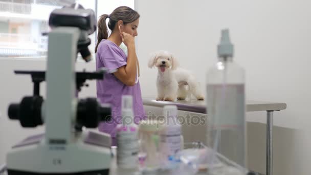 Женщина работает врачом в клинике с белой собакой — стоковое видео