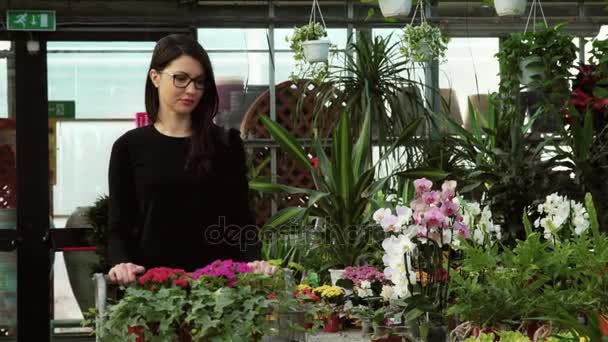 Γυναίκα Πελάτης Ψώνια Για Ανθοπωλείο Αγορά Των Λουλουδιών Για Χόμπι — Αρχείο Βίντεο