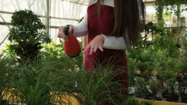 Çiçekçi dükkanı satış müdürü olarak çalışan genç, sulama çiçekler ve bitkiler. İş yerinde, çiçek dükkanında gülümseyen kadın portresi. Sera içinde küçük işletme sahibi olarak çalışan kız. Orta atış