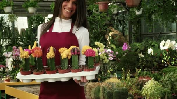 年轻人在花卉商店做花店 卖花和植物 快乐的自营职业妇女在花店工作 在镜头前微笑 女孩作为小企业所有者在温室 — 图库视频影像