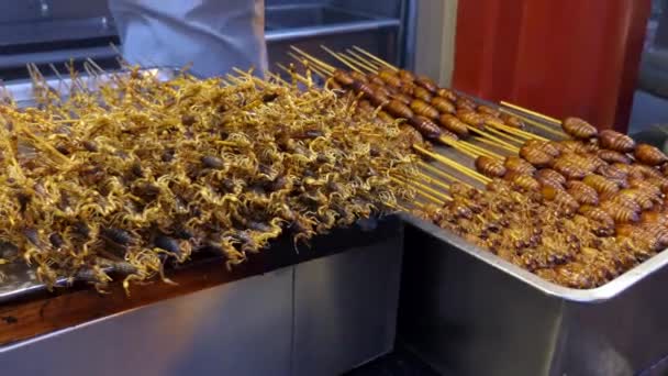 Традиционная Азиатская Еда Магазине Скорпионы Жуки Личинки Насекомые Китайская Кухня — стоковое видео