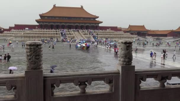 Beijing China July 2017 Crowd People Tourist Visiting Hall Supreme — Stok Video