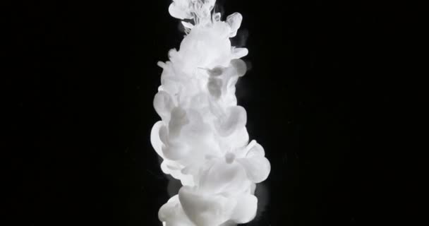 Pintura branca da arte do conceito na água como o fumo na lentidão — Vídeo de Stock
