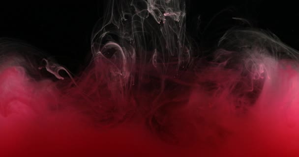 红色墨水在水中的油漆创造液体艺术形状 — 图库视频影像