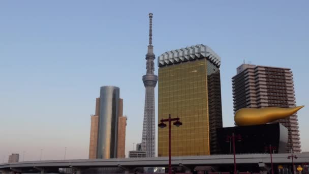 2018年3月 Skytree 塔和日本城市风景在浅草区 现代建筑 城市地标与都市设计建筑 — 图库视频影像