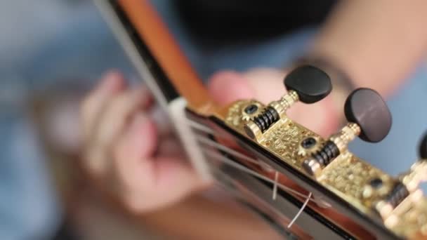 Músico tocando guitarra clásica para música flamenca en tienda española — Vídeos de Stock