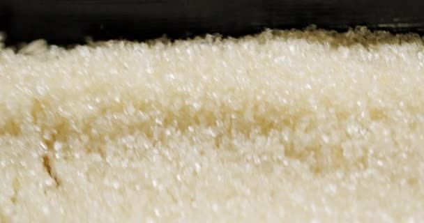 Sanayideki Esmer Şeker Üretimine Yakından Bak Şeker Kamışından Ham Gıda — Stok video