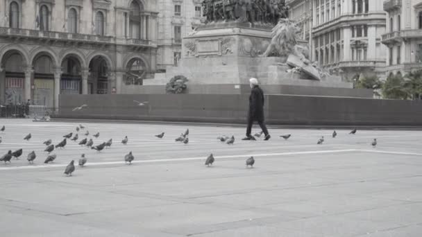 Milan Italy April 2020 Старша Жінка Ходить Серед Голубів Piazza — стокове відео