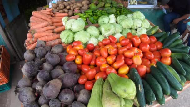 Légumes Frais Vendre Sur Stand Marché Épicerie Yaviza Province Darien — Video