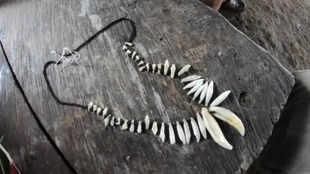 Collar Hecho Jaguar Dientes Mono Por Indios Kuna Darién Parque — Vídeos de Stock