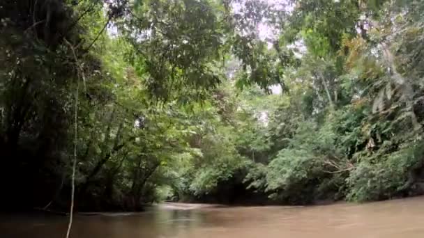 Canoa Rio Paya Darien Parque Nacional Darin Panamá Patrimônio Mundial — Vídeo de Stock