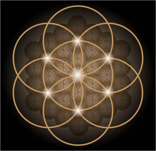 Sacred Geometry - Seed of life & Flower of life, Golden pattern - Vector Illustration