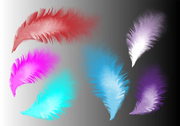 Ensemble de plumes tourbillonnées pelucheuses isolées isolées — Image vectorielle