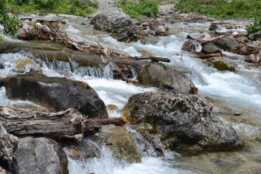 Dağ nehri büyük taşların arasından geçer. Onun yanında yeşil çimenler.