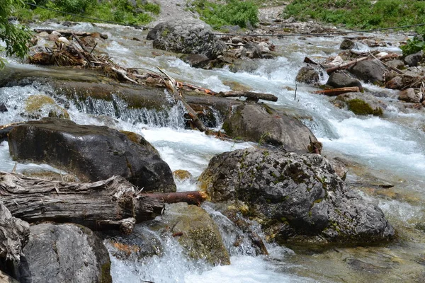 Dağ nehri büyük taşların arasından geçer. Onun yanında yeşil çimenler.