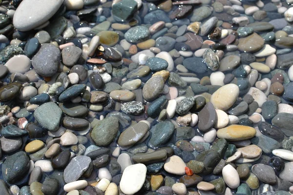 Mořské Oblázky Černé Šedé Hnědé Béžové Kameny Jsou Mokré — Stock fotografie