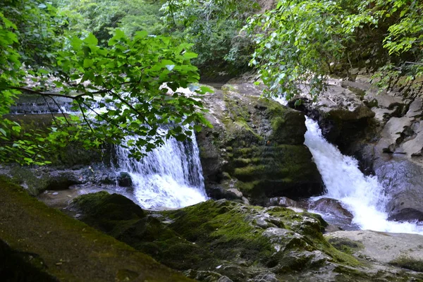 Doğa. Yaz. Küçük şelaleli yeşil arazi.. 