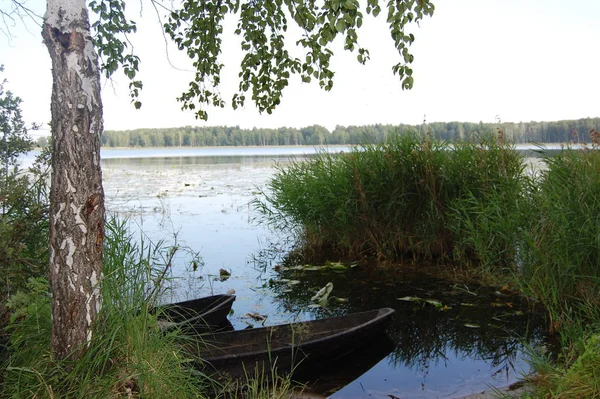 Göl angaryasındaki iki tekne. Yaz. Yeşillik. Sakinlik.