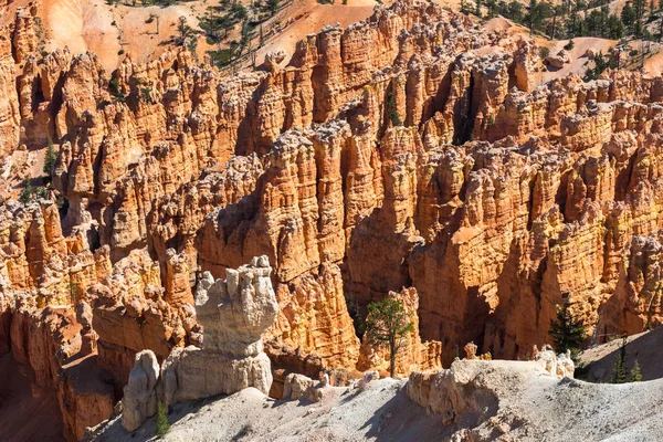 Famous Bryce Canyon National Park Utah Usa — Stock Photo, Image