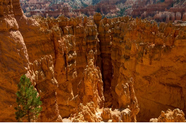 Famous Bryce Canyon National Park Utah Usa — Stock Photo, Image