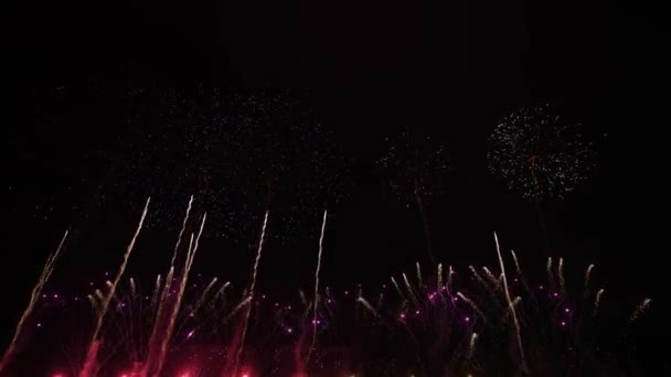 Video Beelden Van Echt Vuurwerk Deep Black Achtergrond Sky Vuurwerk — Stockvideo