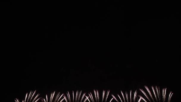 Video Záběry Skutečné Ohňostroje Hlubokém Černém Pozadí Oblohy Festivalu Fireworks — Stock video