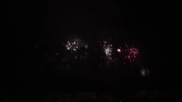 Filmato Fuochi Artificio Reali Sfondo Nero Profondo Sky Fireworks Festival — Video Stock