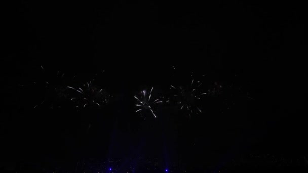 Video Footage Real Fireworks Deep Black Háttér Sky Fireworks Fesztivál — Stock videók