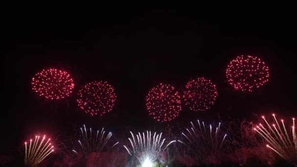 Videomaterial Von Echten Feuerwerken Auf Tiefschwarzem Hintergrund Himmel Auf Feuerwerk — Stockvideo