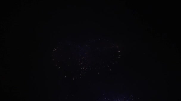 Vidéo Vrais Feux Artifice Sur Fond Noir Profond Sky Sur — Video