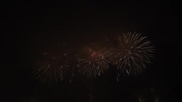 Video Záběry Skutečné Ohňostroje Hlubokém Černém Pozadí Oblohy Festivalu Fireworks — Stock video