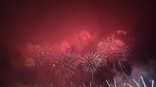 Filmato Fuochi Artificio Reali Sfondo Nero Profondo Sky Fireworks Festival — Video Stock