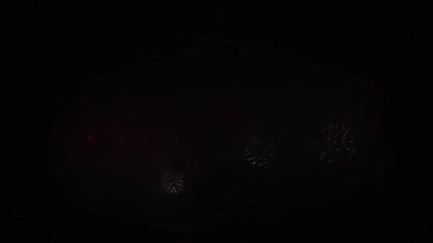 Video Footage Real Fireworks Deep Black Background Sky Fireworks Festival — Αρχείο Βίντεο