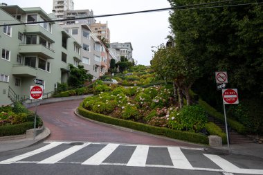 Covid-19 salgını sırasında San Francisco 'nun boş sokakları, karantina, ünlü Lombard sokağı, California Usa