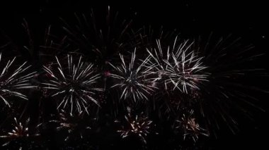 Derin Kara Arkaplan Gökyüzü Havai fişek Festivali 'nde Gerçek Havai Fişekler