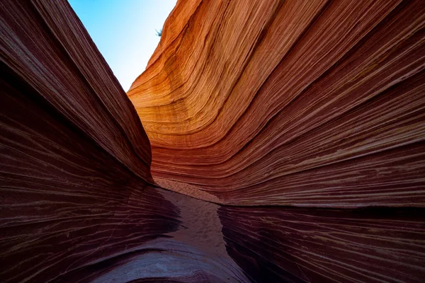 Arizona Wave - Híres geológiai kőzetképződés Pariah Canyonban, USA — Stock Fotó