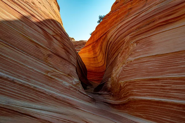 Arizona Wave - Διάσημος γεωλογικός σχηματισμός πετρωμάτων στο Pariah Canyon, ΗΠΑ — Φωτογραφία Αρχείου