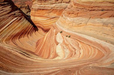Arizona Wave - Pariah Canyon 'da ünlü jeoloji kaya oluşumu