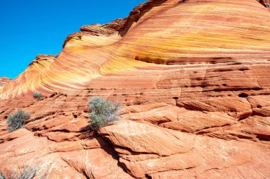 Arizona Wave - Pariah Canyon 'da ünlü jeoloji kaya oluşumu