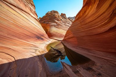 Arizona Wave - Pariah Canyon 'da ünlü jeoloji kaya oluşumu