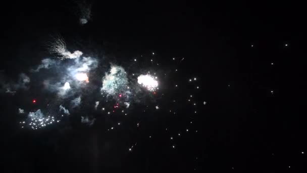 4К абстрактные фейерверки изолированы на фоне глубокой черной ночи — стоковое видео