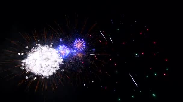 Feu d'artifice abstrait 4K isolé sur fond de nuit noir profond — Video