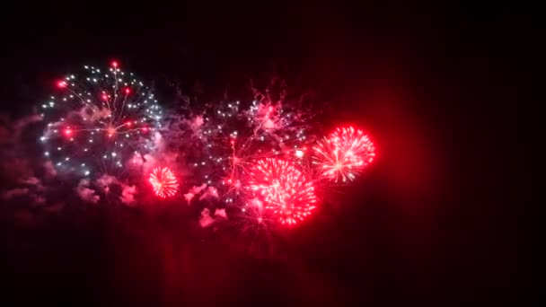 Fuegos artificiales aislados sobre fondo negro profundo — Vídeo de stock