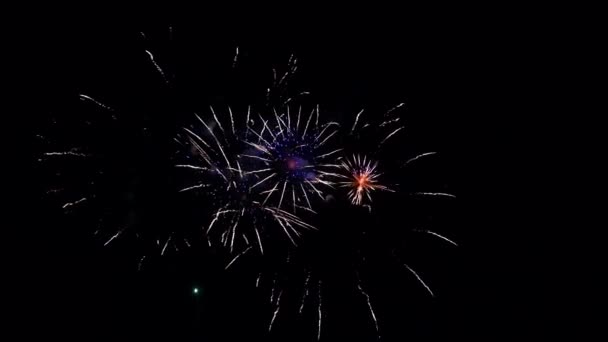 Espectáculo de fuegos artificiales abstractos en el profundo cielo nocturno negro — Vídeos de Stock